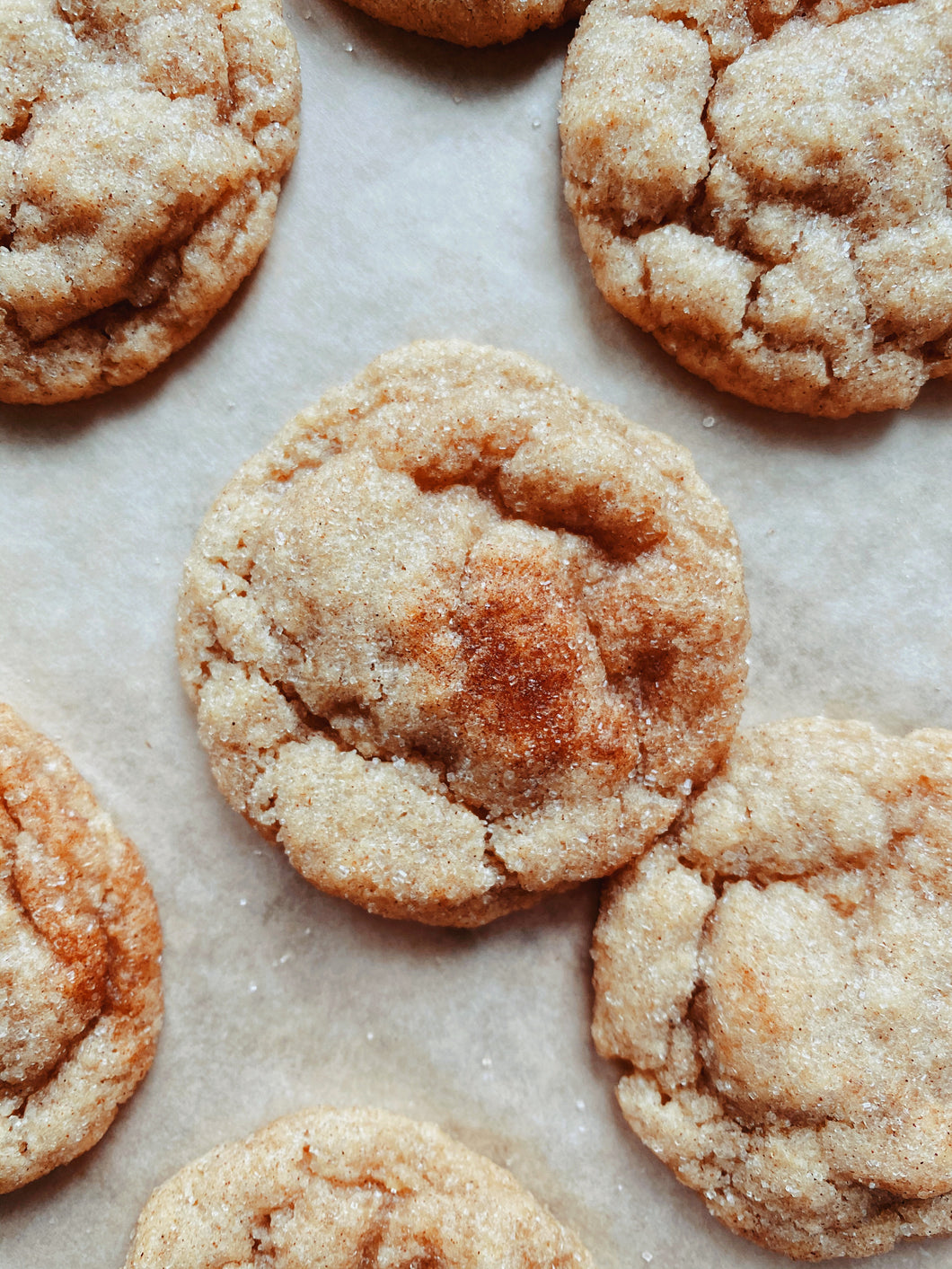 The Snickerdoodle